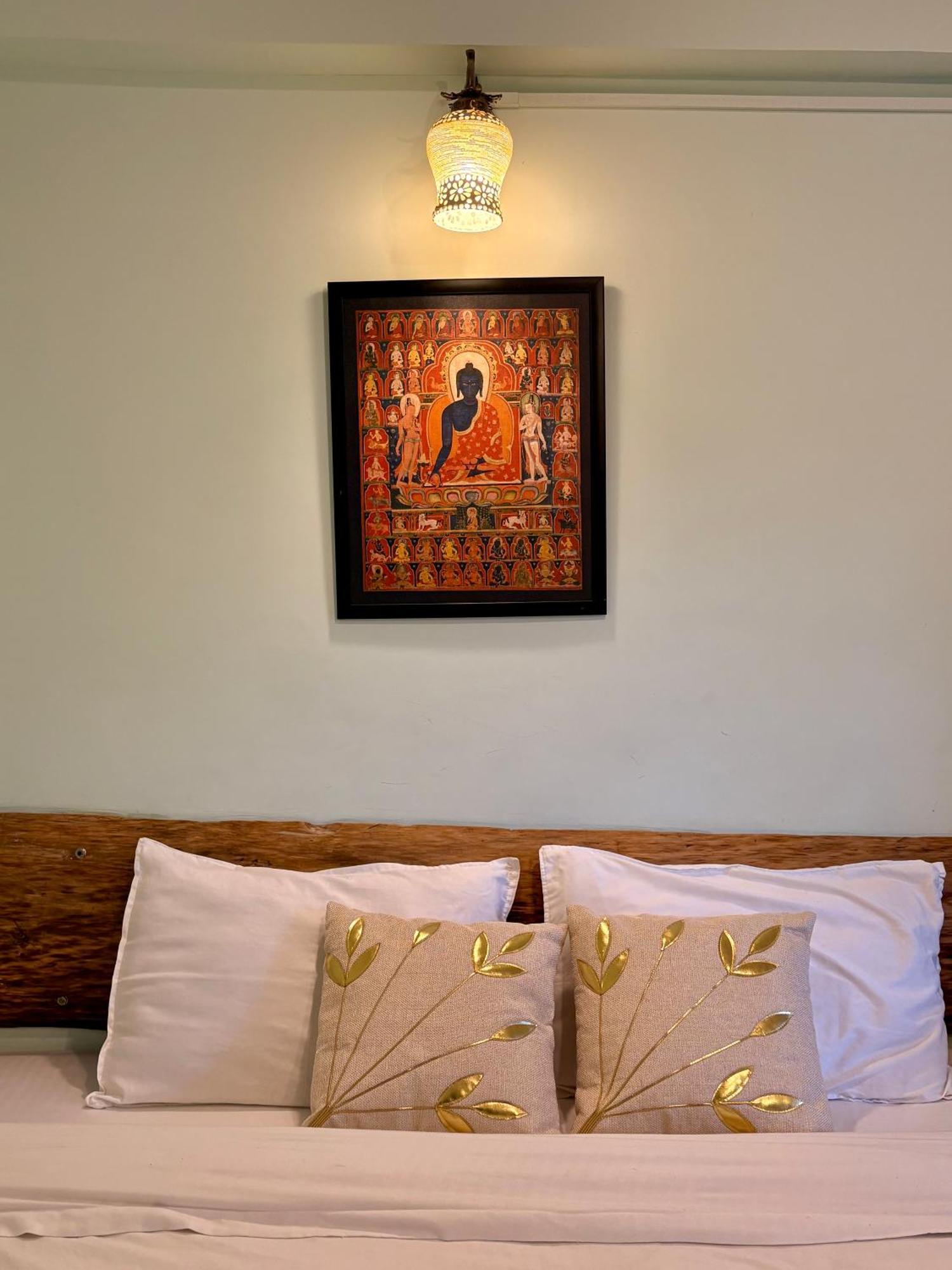 Eevolve Dharamkot - An Eco Hostel МакЛеод Ганж Екстериор снимка