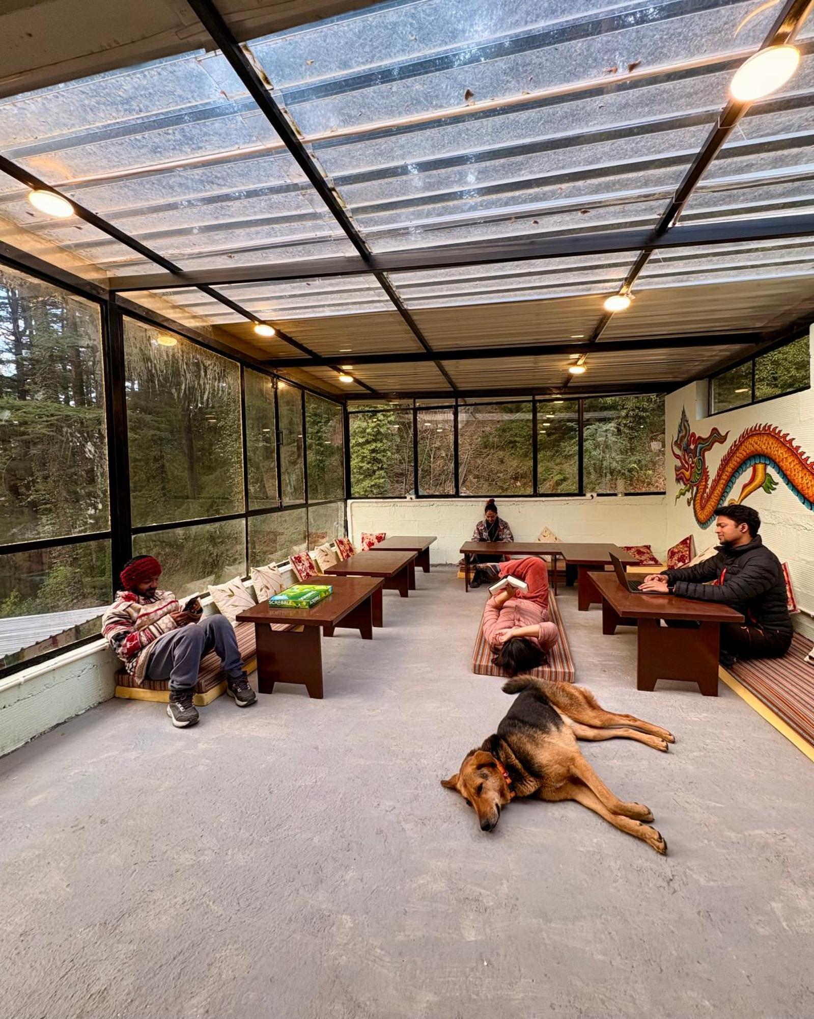 Eevolve Dharamkot - An Eco Hostel МакЛеод Ганж Екстериор снимка